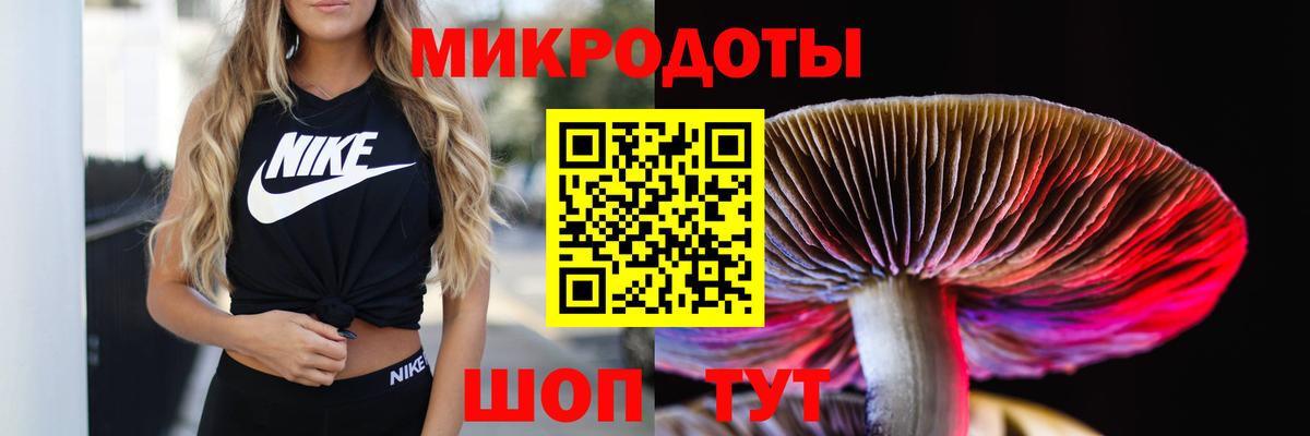Псилоцибиновые грибы MAGIC MUSHROOMS  Вход с VPN  Рузаевка 